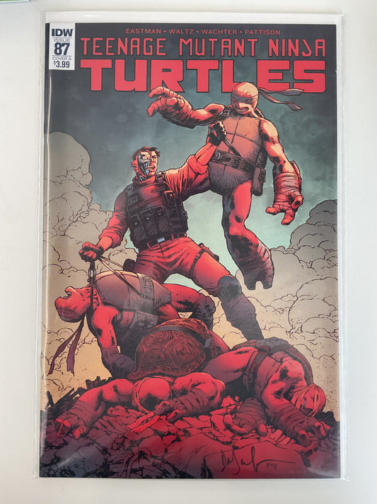 Teenage Mutant Ninja Turtles #87 2018 IDW Publishing