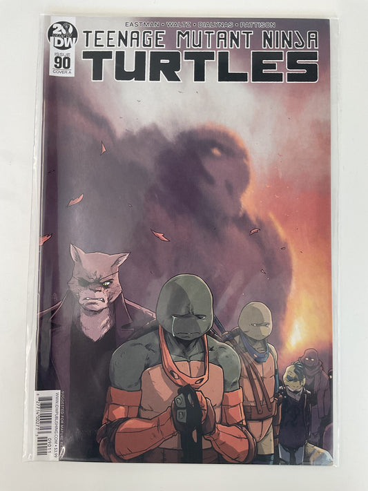 Teenage Mutant Ninja Turtles #90 2019 IDW Publishing Low Print Run