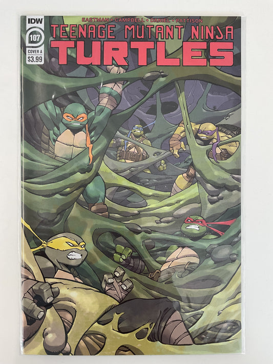 Teenage Mutant Ninja Turtles #107 2020 IDW Publishing