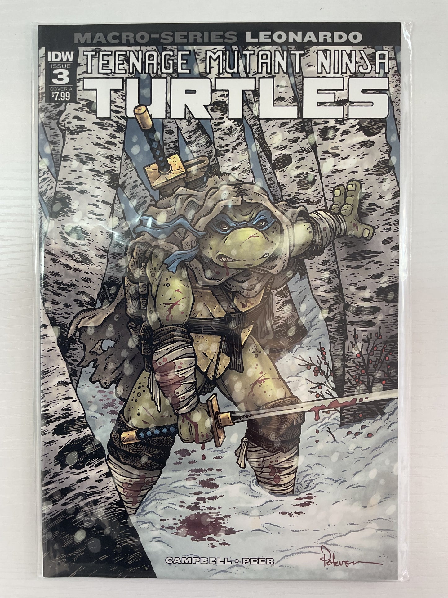 Teenage Mutant Ninja Turtles Macro-Series #3 2018 IDW Publishing