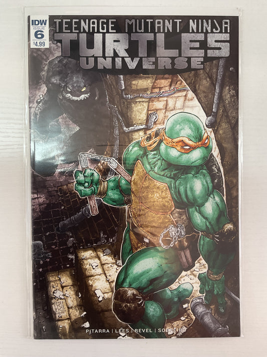 Teenage Mutant Ninja Turtles Universe #6 2017 IDW Publishing