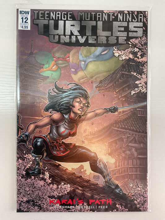 Teenage Mutant Ninja Turtles Universe #12 2017 IDW Publishing