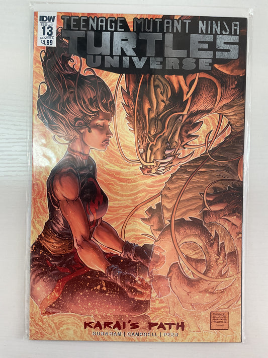 Teenage Mutant Ninja Turtles Universe #13 2017 IDW Publishing