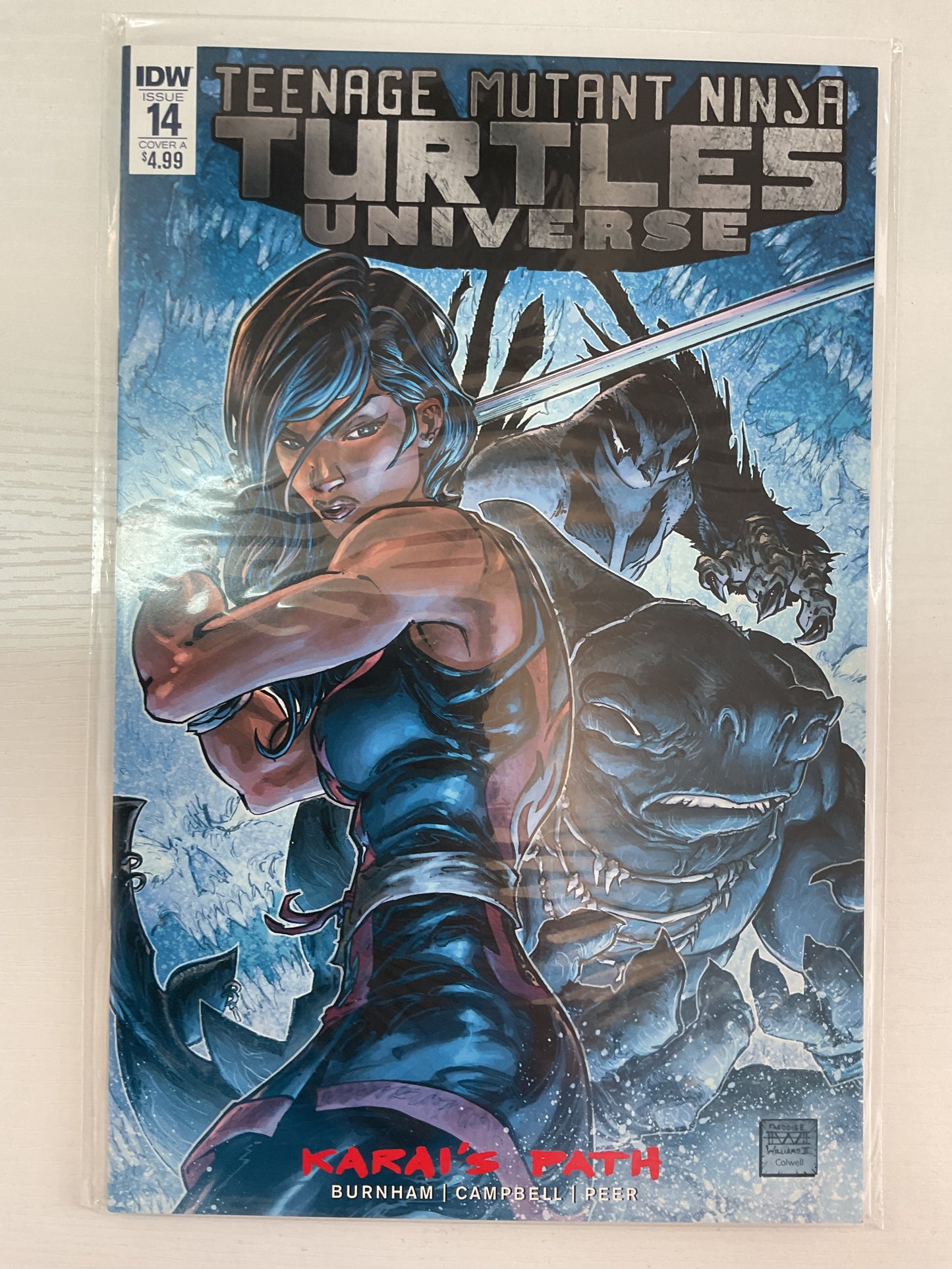 Teenage Mutant Ninja Turtles Universe #14 2017 IDW Publishing