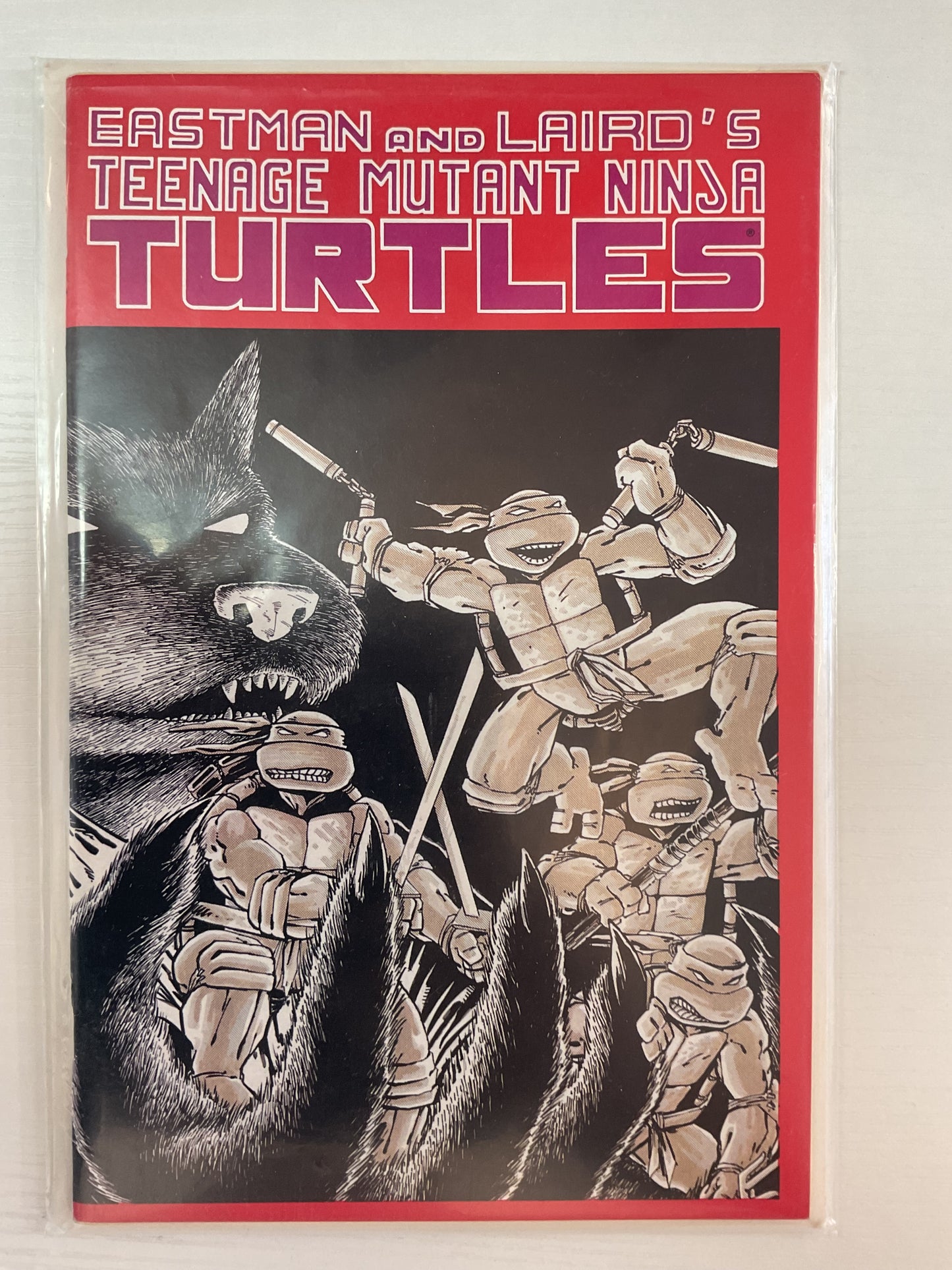 Teenage Mutant Ninja Turtles #1 5TH Printing 1988 Miarage Studios