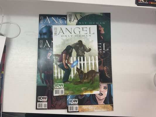 Angel Only Human #1-5 2009 IDW Publishing Complete Series Mixed Covers