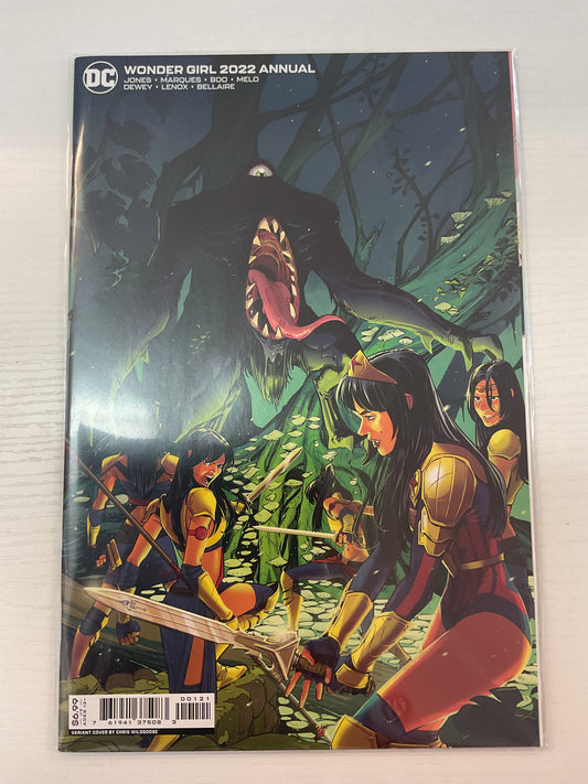 Wonder Girl Annual #1 2022 DC Comics Wildgoose Variant