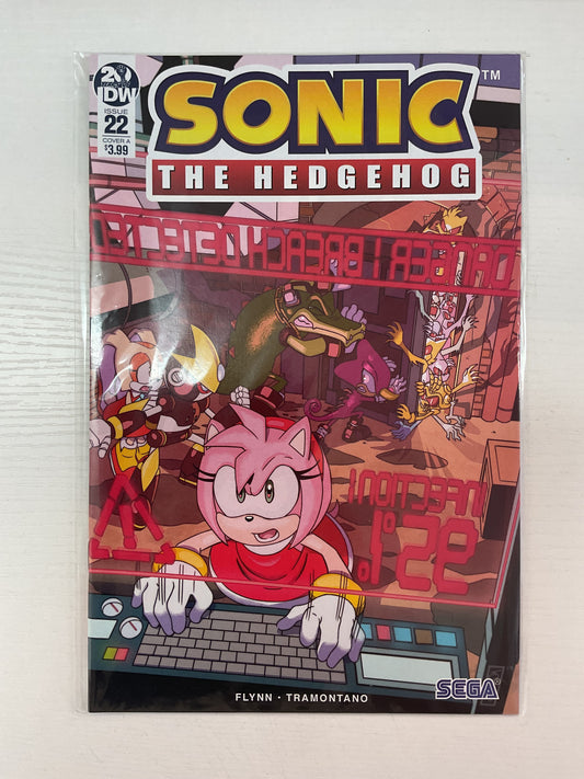 Sonic The Hedgehog #22 2019 IDW Publishing
