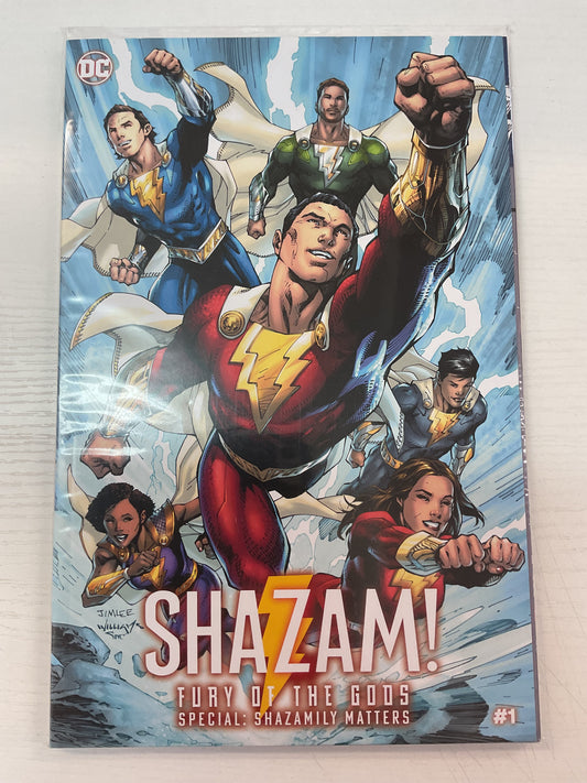 Shazam Fury Of The Gods Special Shazamily Matters #1 2023 DC Comics