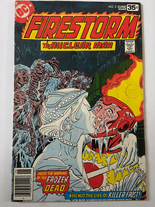 Firestorm The Nuclear Man #3 1978 DC Comics 1st Appearance Of Killer Frost